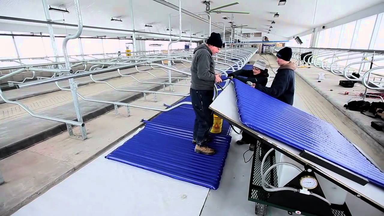 Promat Gel Matresses High Rise Studio