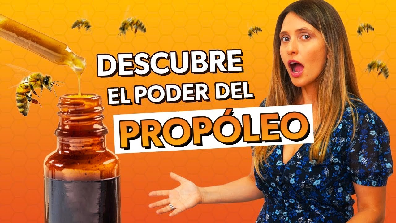 PROP&Oacute;LEO: qu&eacute; es, para qu&eacute; sirve y c&oacute;mo usarlo