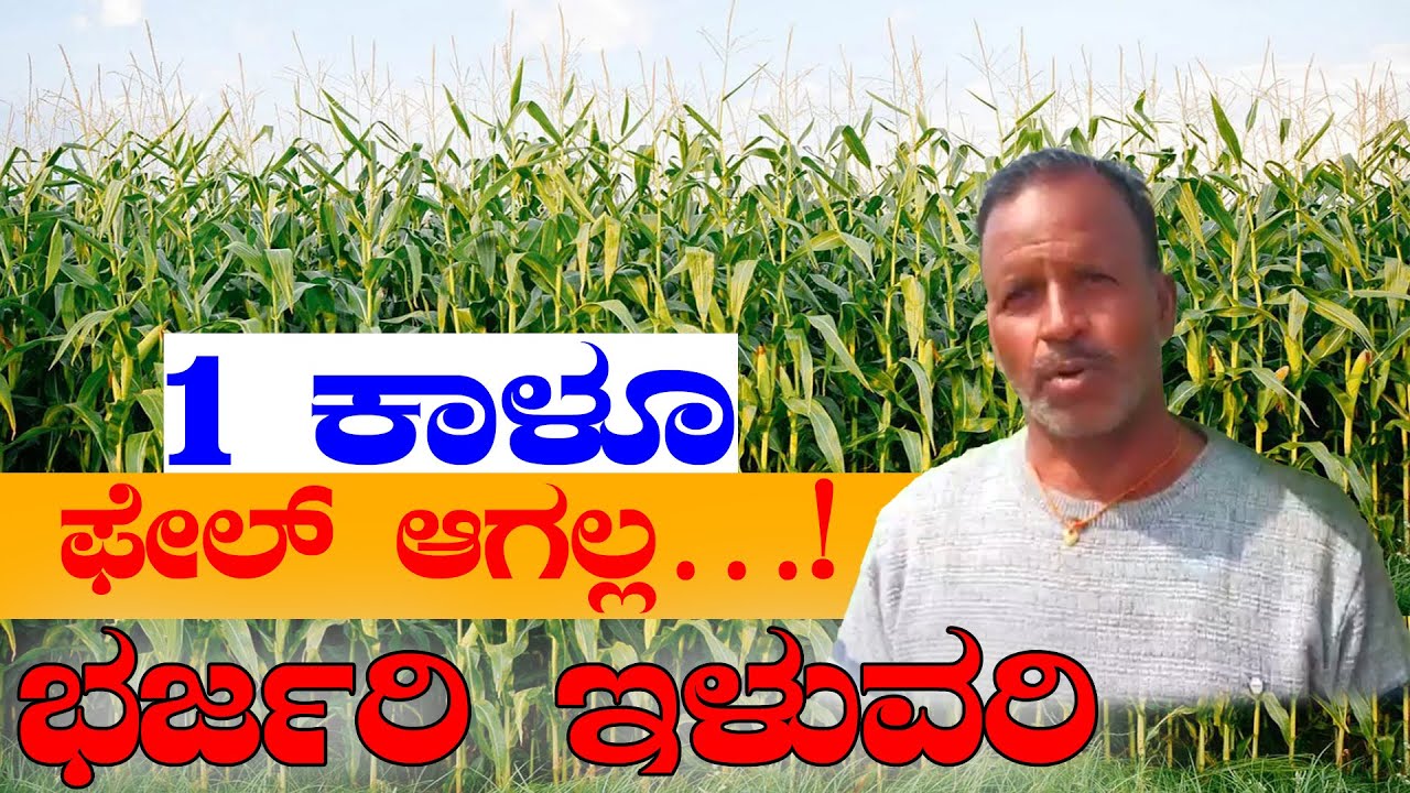 ಯಾವುದೇ ಬೀಜ ಬಿತ್ತನೆಗೂ ಮುನ್ನ, ಸಸಿ ನಾಟಿಗೂ ಮೊದಲು ಈ ಕೆಲಸ ಕಡ್ಡಾಯ | Simple way to get high yield #lowcost