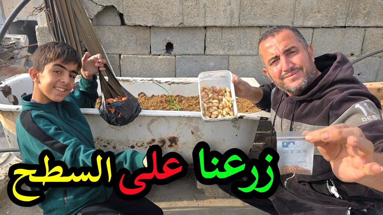 رجعنا نزرع في بيتنا🌱🌾
