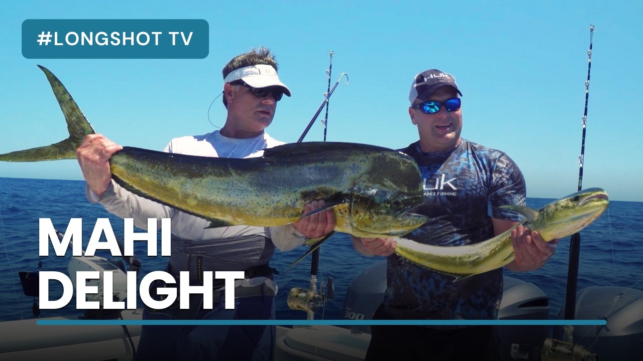 Mahi Delight | Longshot TV