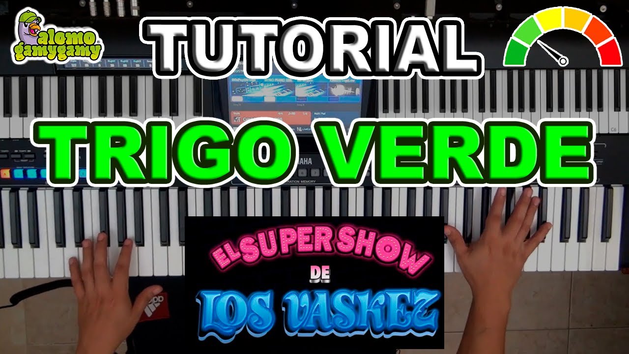 Trigo Verde: El Super Show De Los Vasquez / Tutorial: Figuras y Acordes