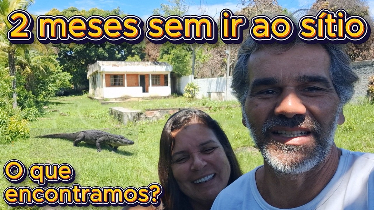#017 - Reformando o Sítio - Mostrando a evolução da reforma - dia 12/02/2026