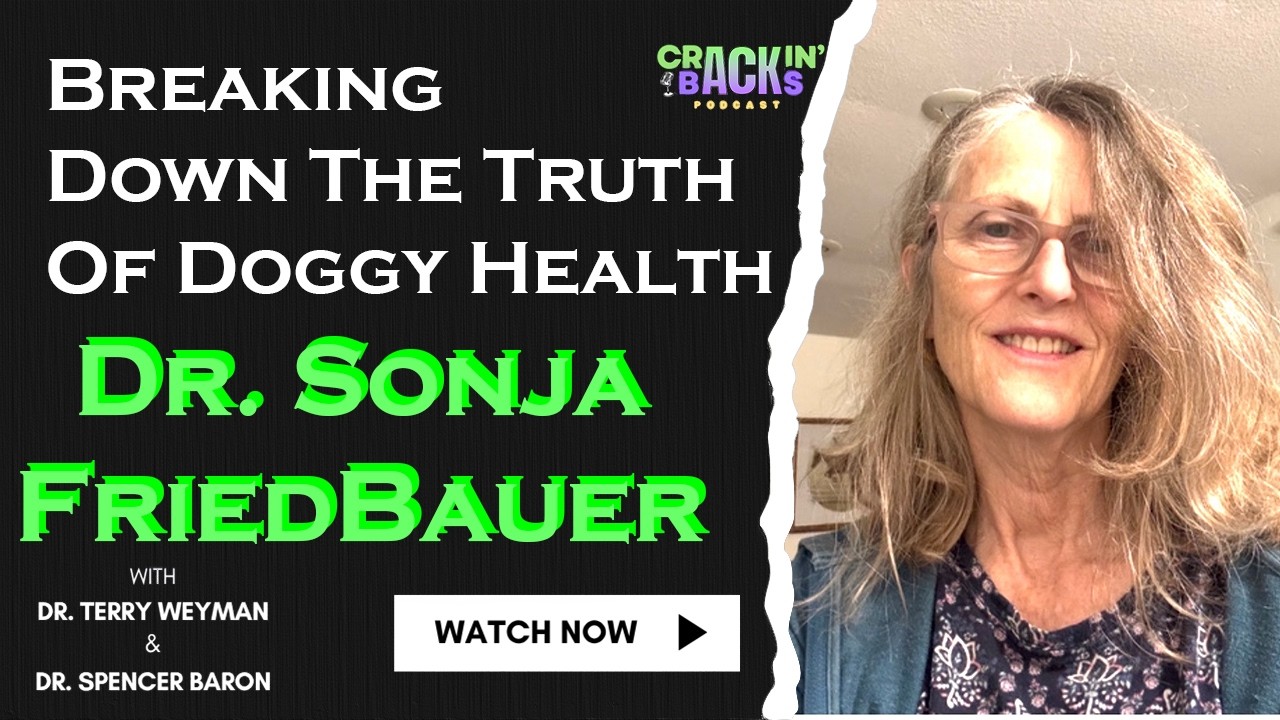 A Natural Vet Breaks Down What Actually Works for Dog Arthritis, Longevity, and Gut Health