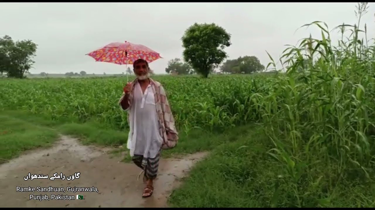 Rain in the Village in Rainy season | Rain in Village of Punjab Pakistan and people activity