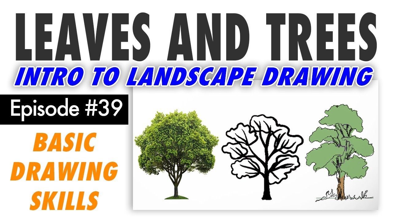 Intro Landscape Drawing; Leaves and Trees! Free Basic Drawing Class #39