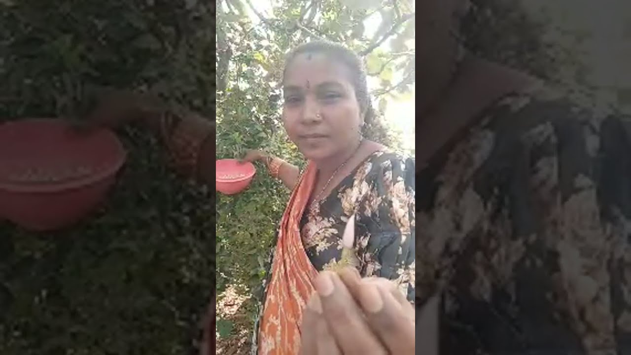 EARTH LOVER-1 is live మీకో అద్భుతాన్ని చూపిస్తాను రండి....ఈ పూల పేరు చెప్పండి..?