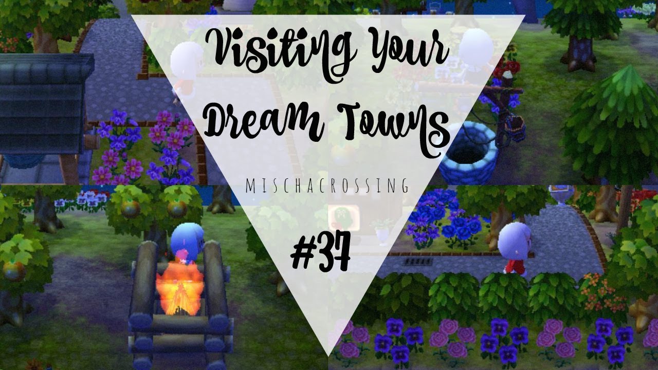 Visiting Your Dream Towns :: #37 :: Animal Crossing: New Leaf - Welcome amiibo