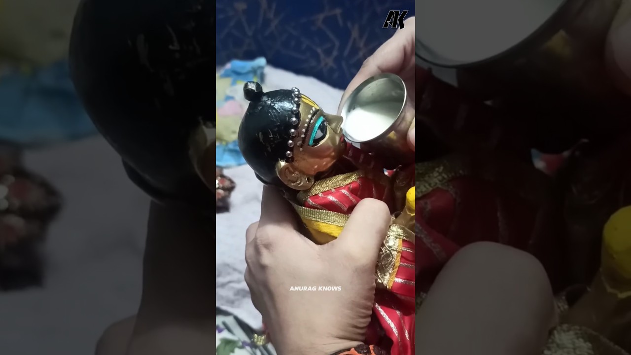 Show off bhakti: Fake "Sanatanis" Exposed!