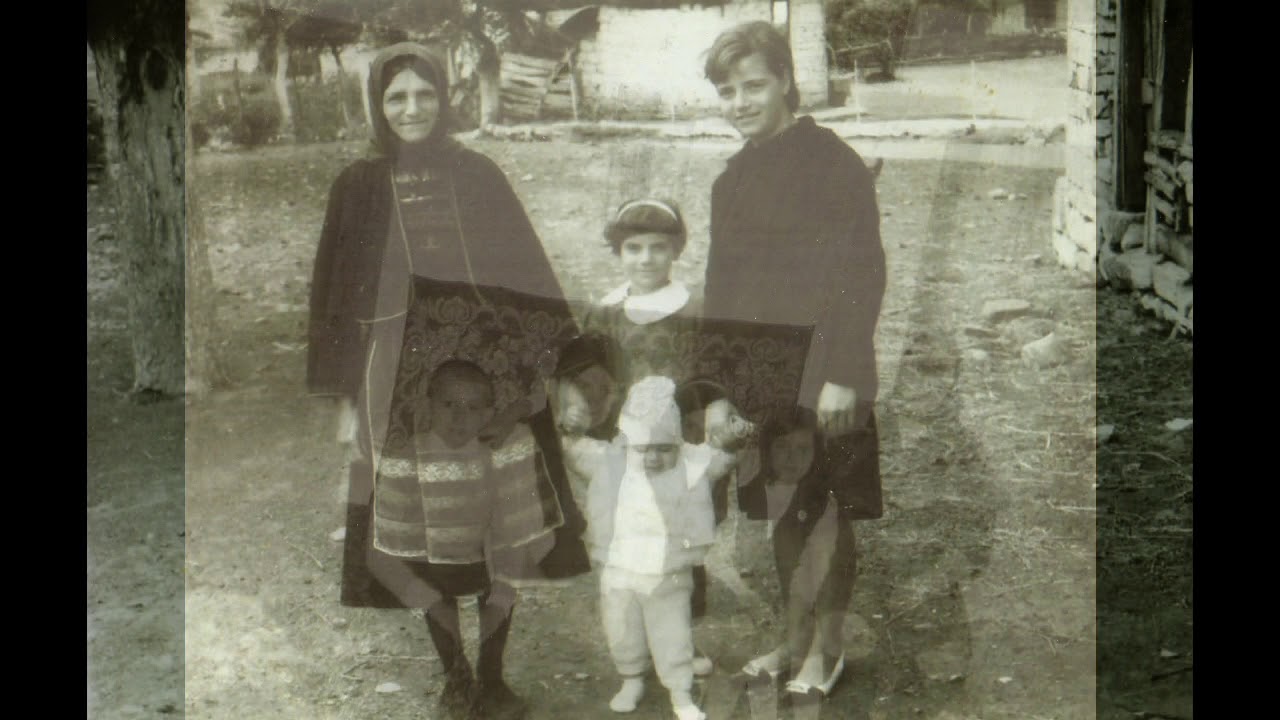 ΔΕΝΤΡΟ ΕΙΧΑ ΣΤΗΝ ΑΥΛΗ ΜΟΥ (Δεντρίτσι) | Περιοχή Μεταξάδων Έβρου
