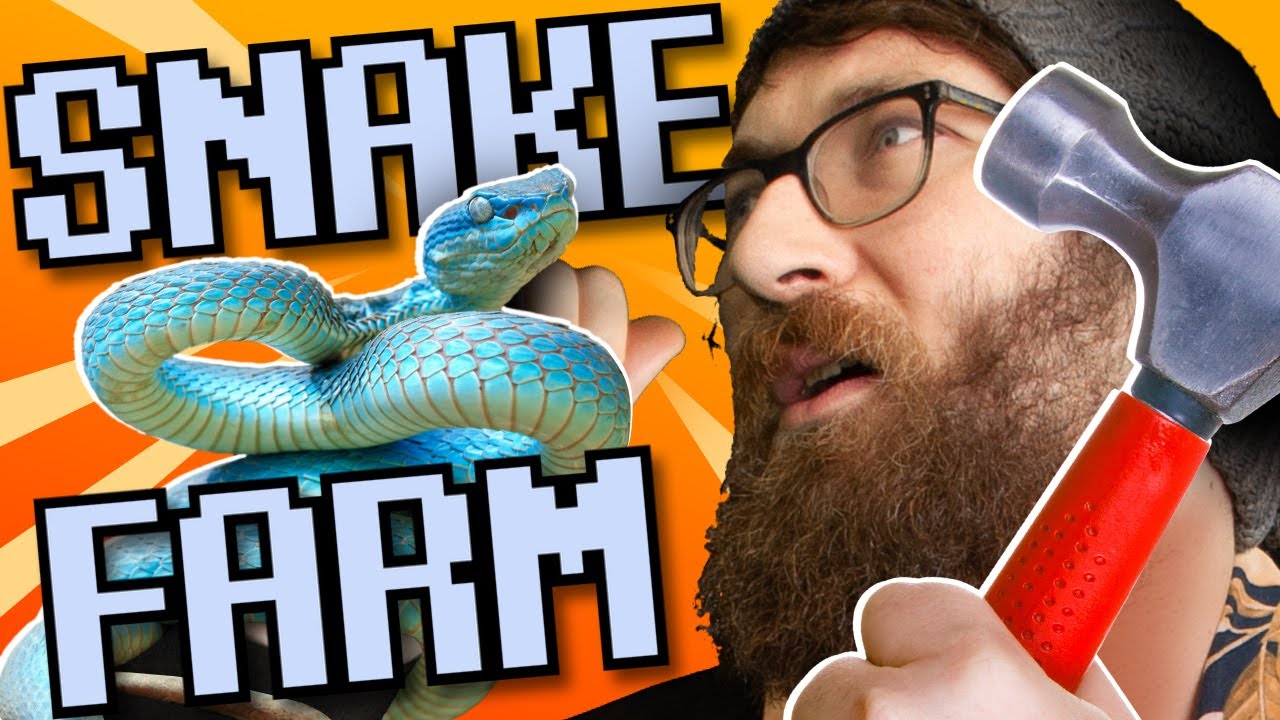 BLUDGEN SNAKES AND STEAL THEIR TEETH! - SNAKE FARM