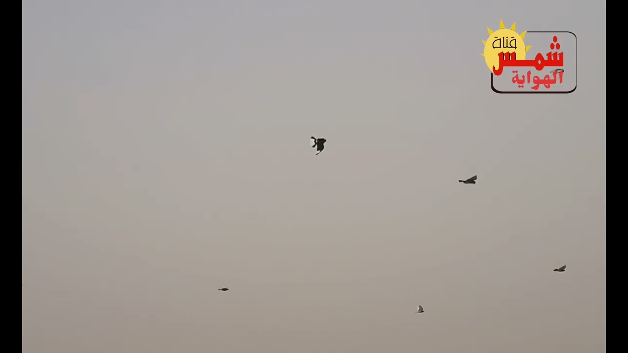 مطيار أخوكم عميد الهواية علي صياح 2022/2/19