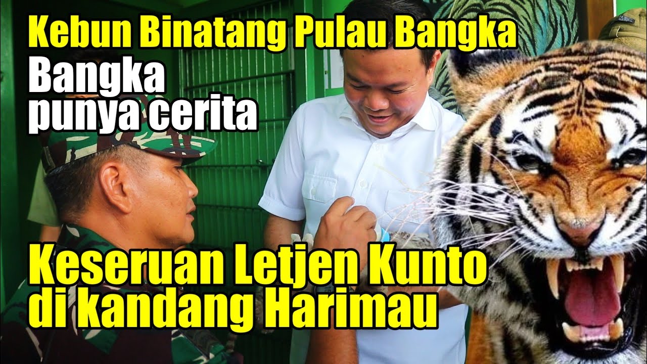 BANGKA PUNYA CERITA !  KESERUAN LETJEN KUNTO DI KANDANG HARIMAU |  KEBUN BINTANG BANGKA KEREN ! 