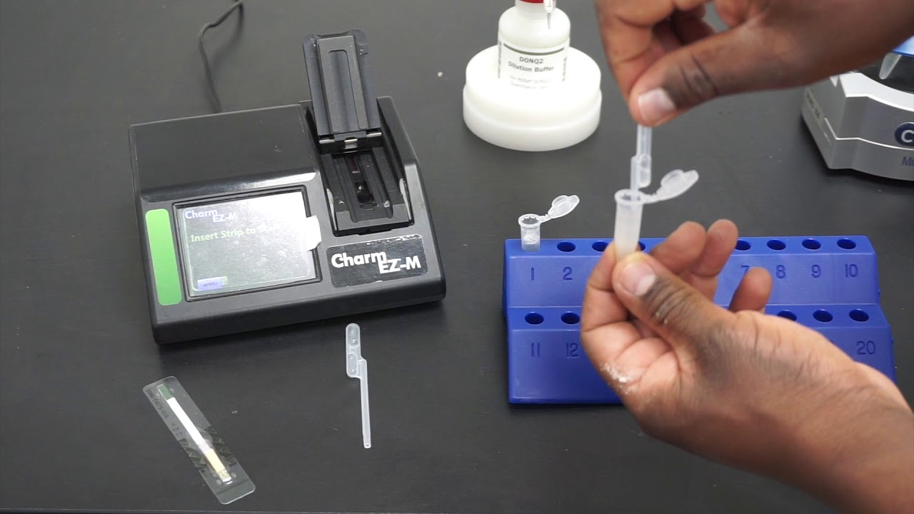 How to run a Charm DON2 Mycotoxin Test