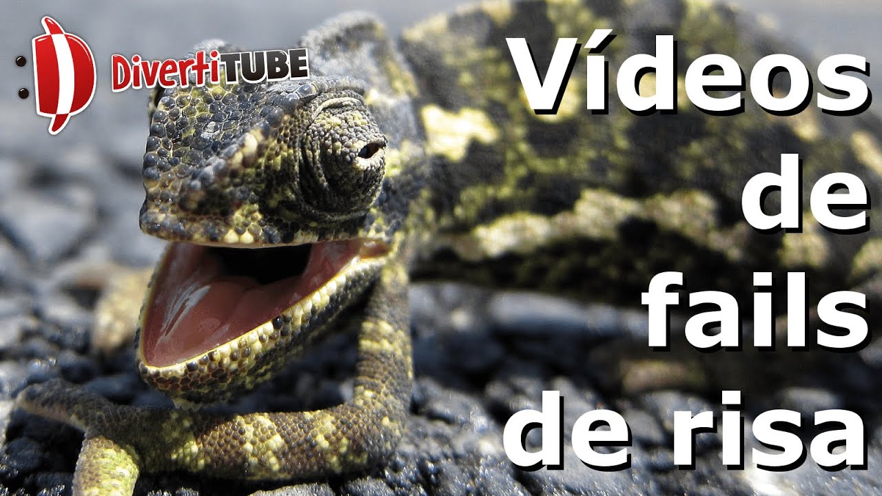 V&iacute;deos de fails de risa