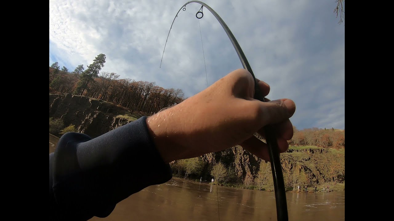 FALL SALMON FISHING for Hatchery Coho's - Pt. 1