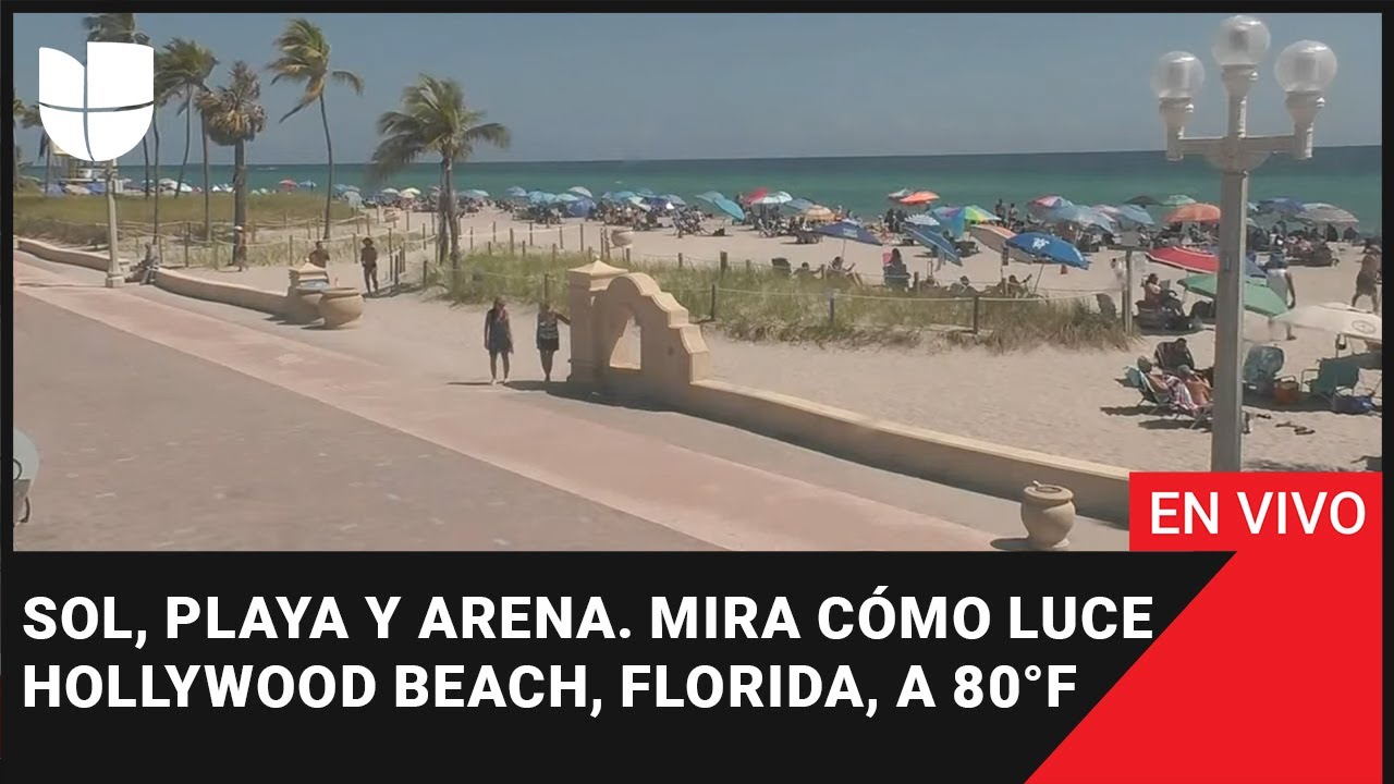 ☀️ EN VIVO: Sol, playa y arena. Mira cómo luce Hollywood Beach, Florida, a  80°F