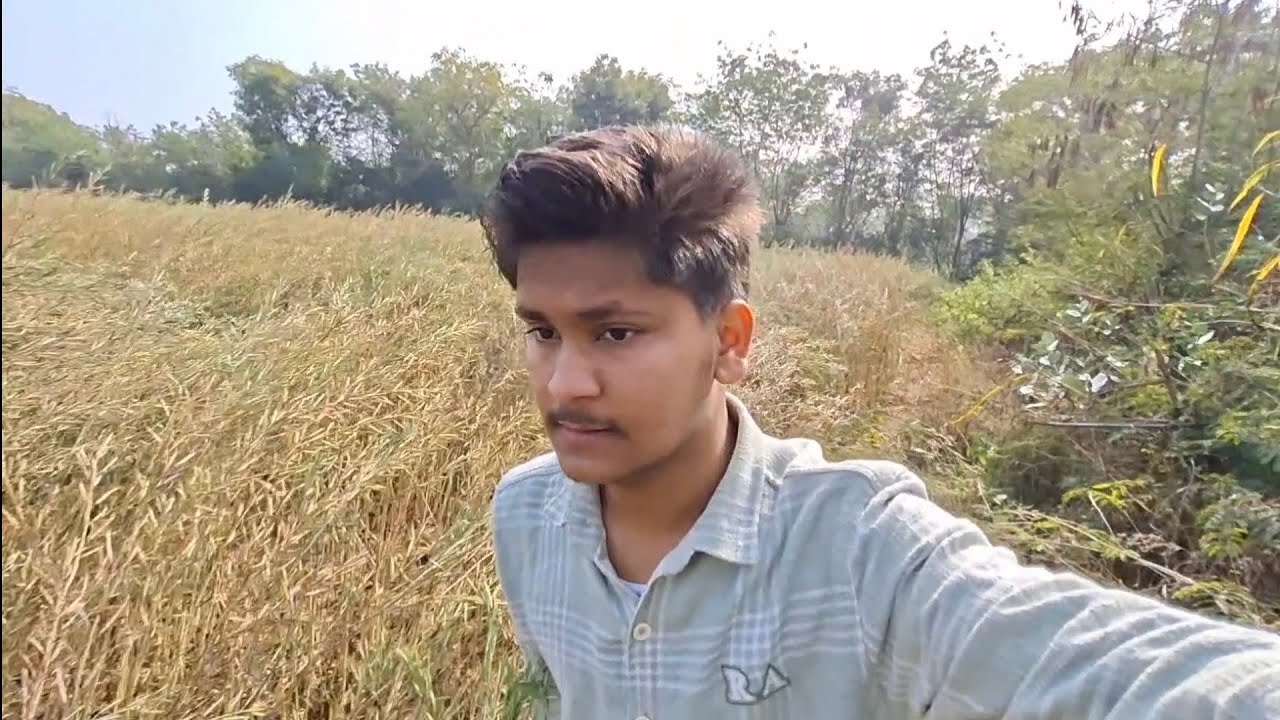 Aaj lunch bahar karenge.