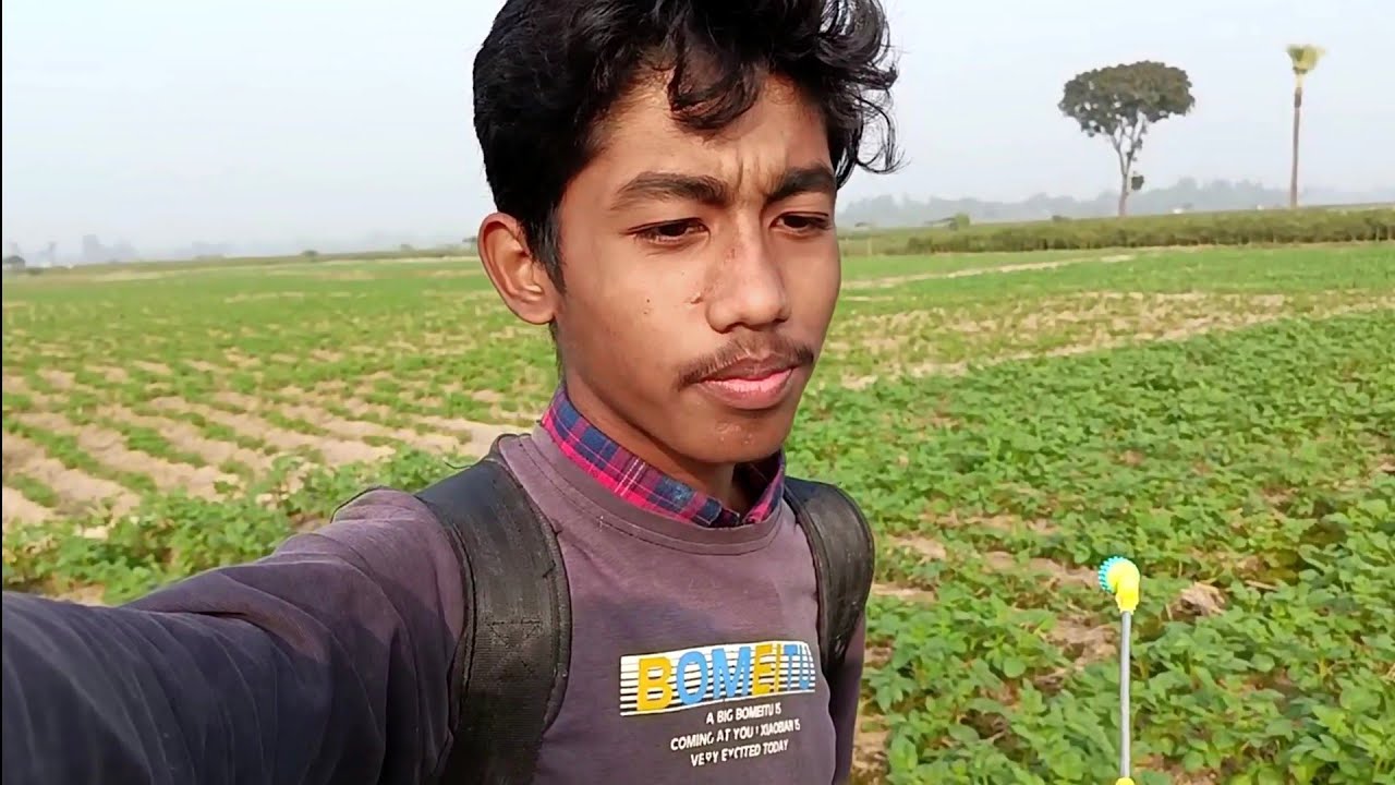 সরিষাতে ঔষধ দিলাম। 😀