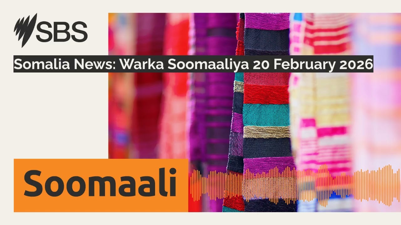 Somalia News: Warka Soomaaliya 20 February 2026 | SBS Somali - SBS Afsomali