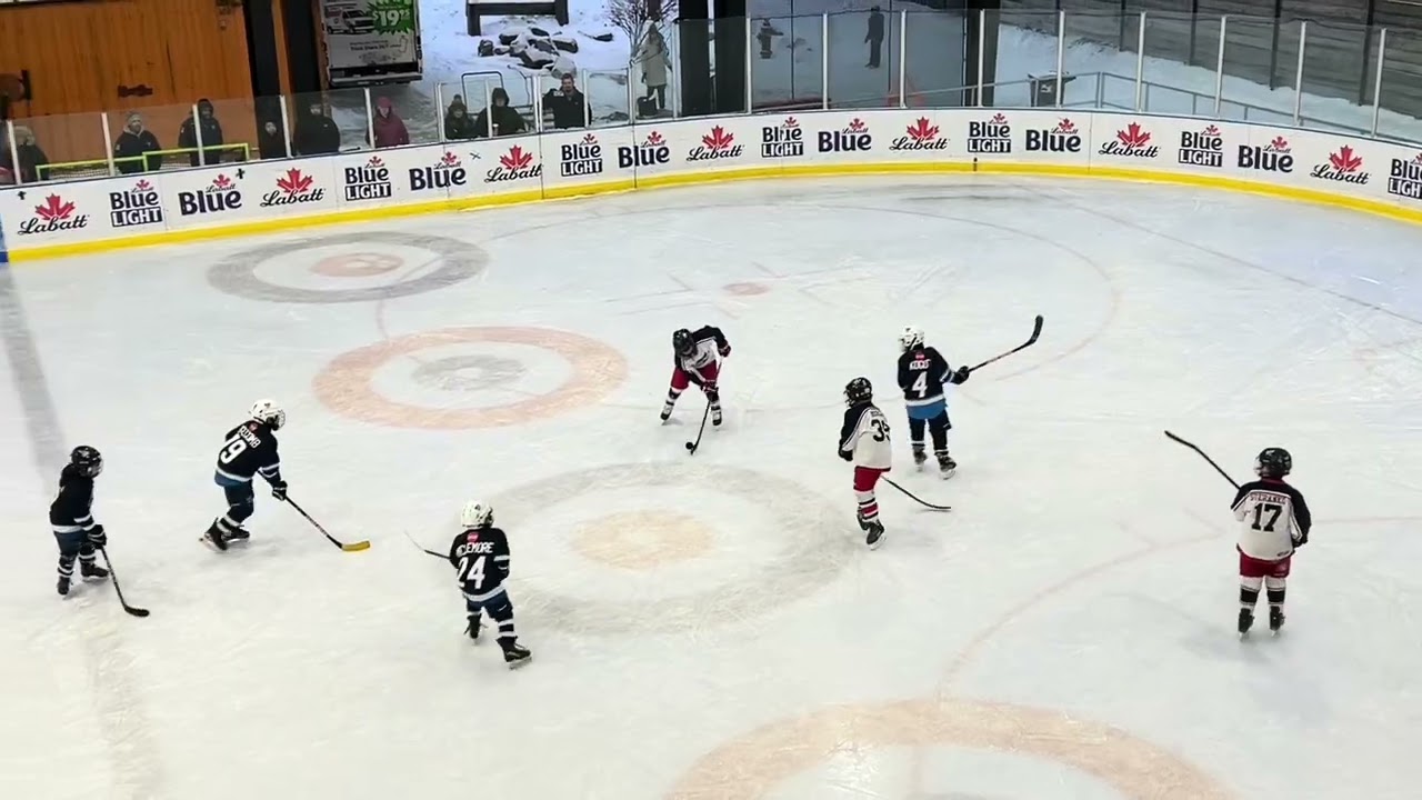 Buffalo game 5