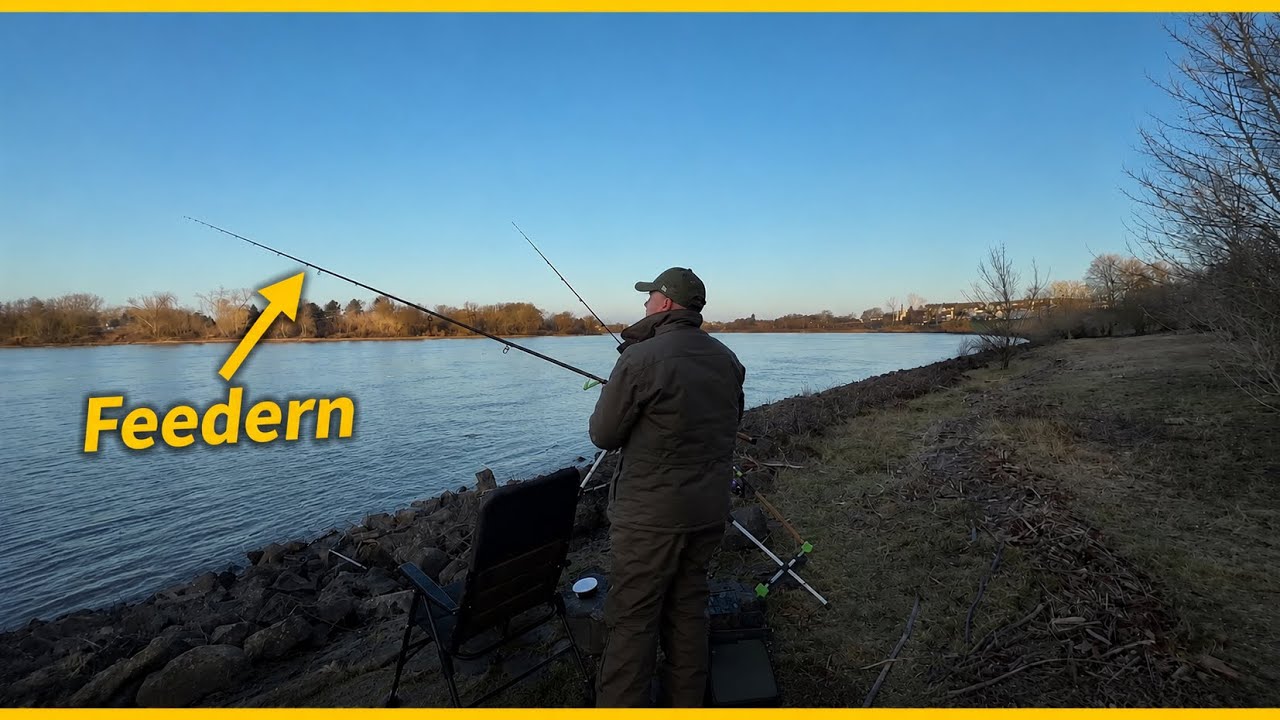 Barben angeln am Rhein mit Futterkorb🎣kein Profi meine einfache Montage