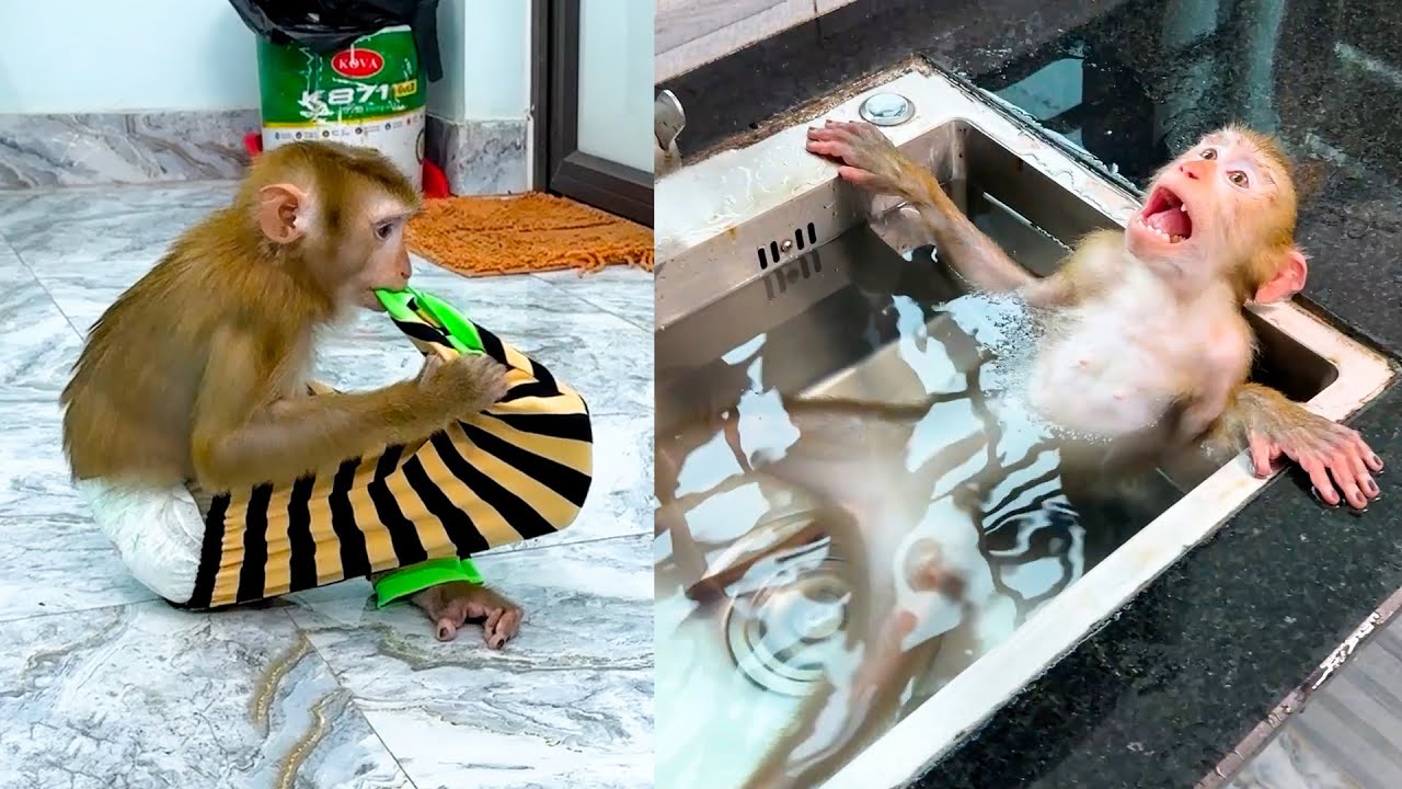 Kaka took off her clothes and diaper and took a bath in the sink
