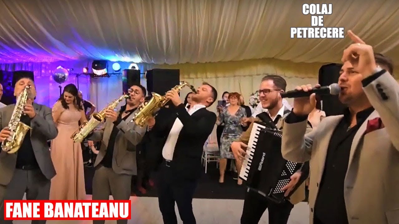 Fane Banateanu, Armin & Petrica Nicoara - Colaj De Petrecere 2022