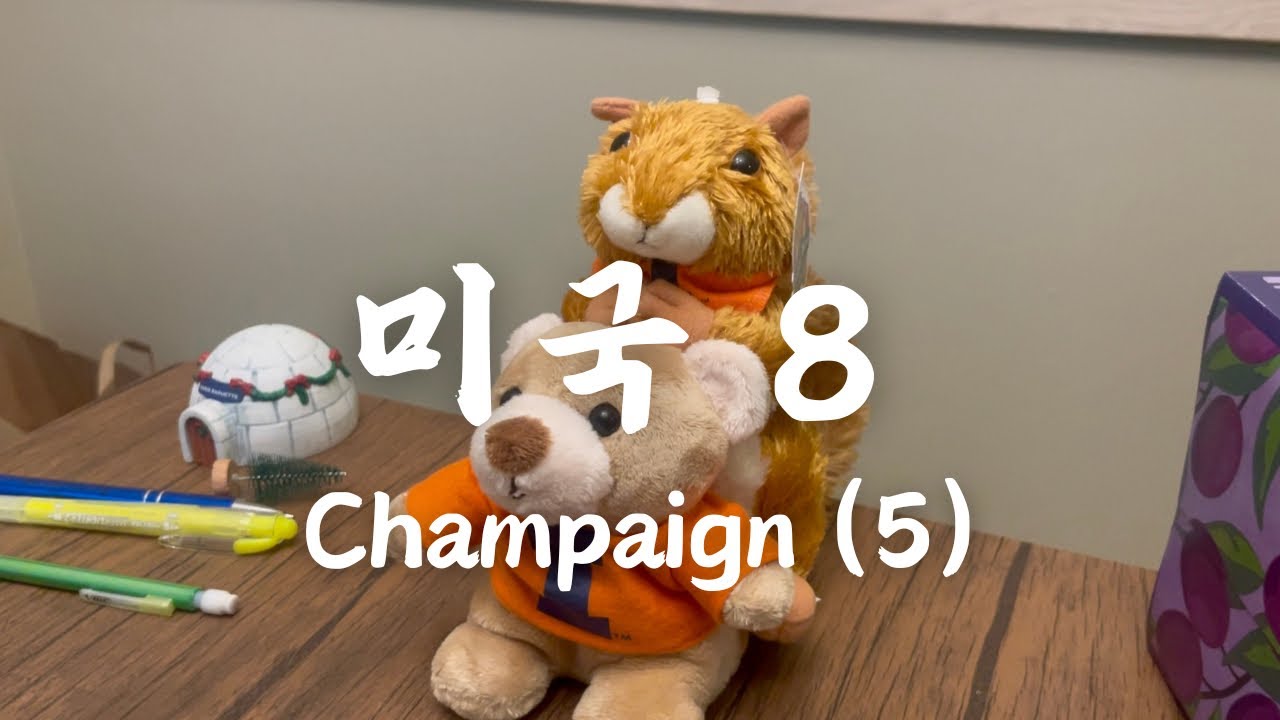 미국 여행 8 | Champaign (5)