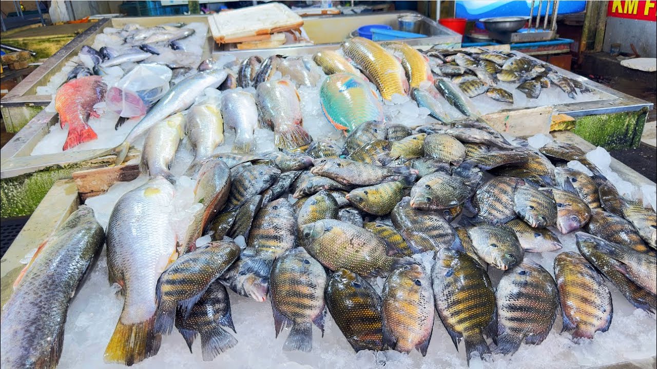 തണ്ണീർമുക്കം മാർക്കറ്റിലെ മീൻ കാഴ്ചകൾ| Fish sightings at Thanneermukkam market