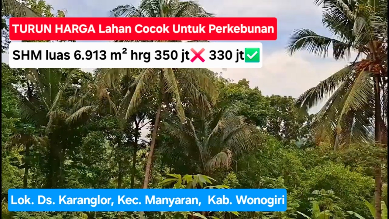 TURUN HARGA Lahan cocok untuk perkebunan buah-buahan SHM luas 6913m². Hrg 350 jt❌ 330 jt✅.