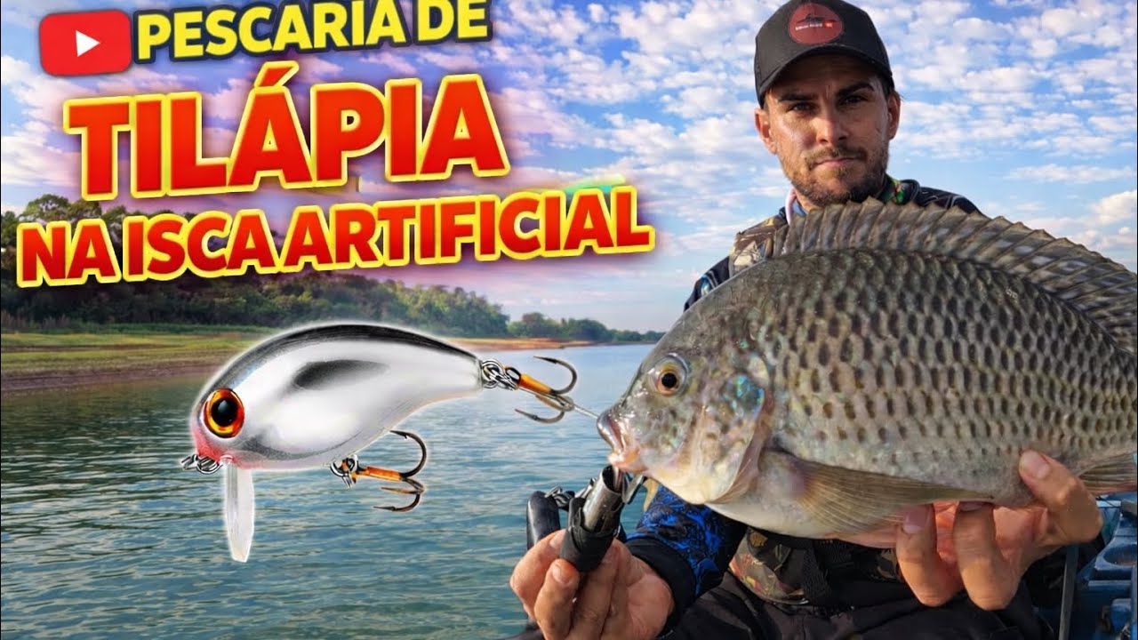 Pescaria de Tilápia na Isca Artificial 