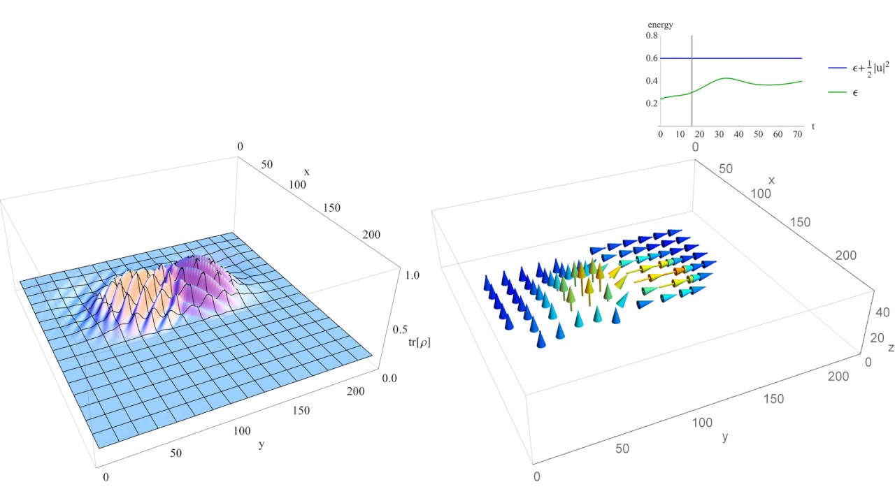 Matrix-valued Quantum Lattice Boltzmann Method: Interference