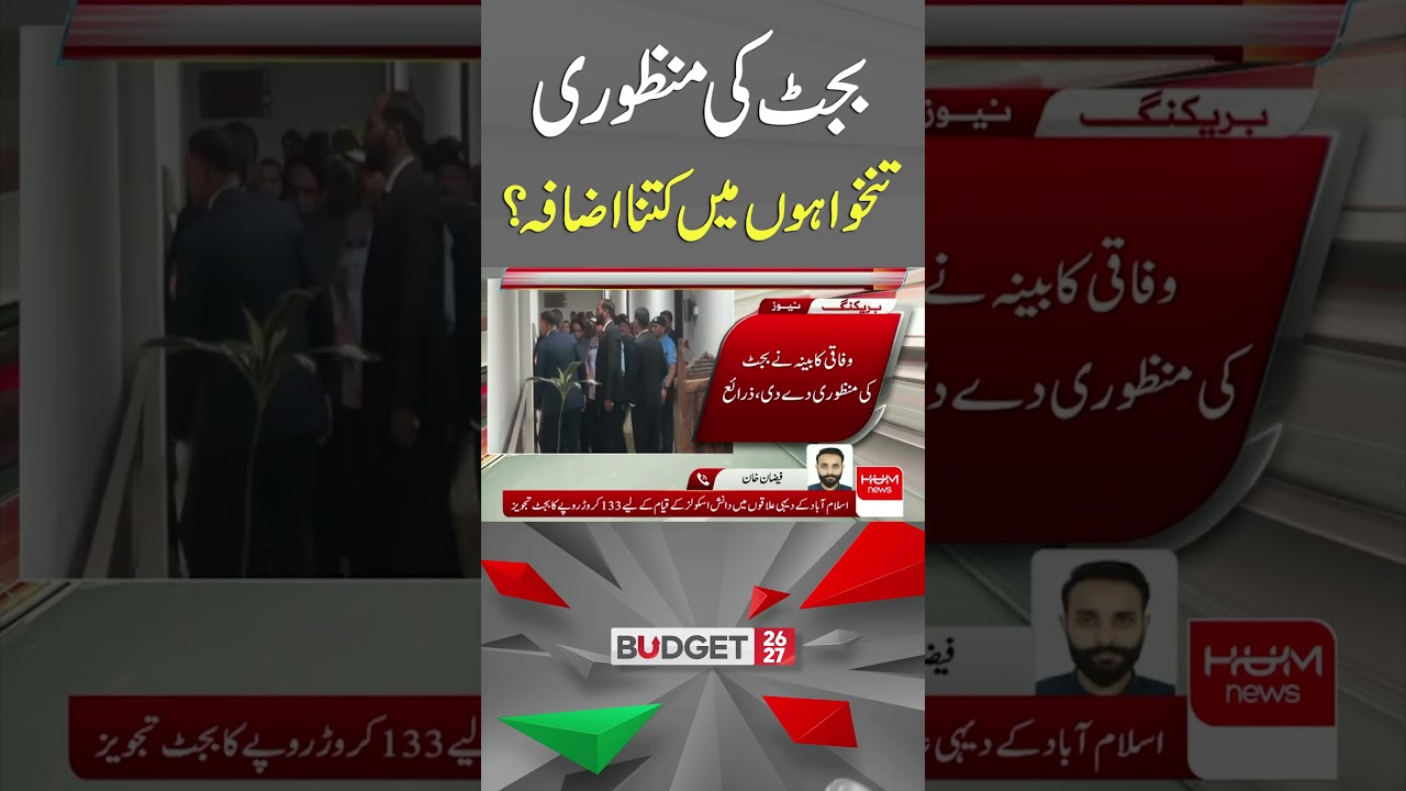 Federal Cabinet Approves Budget: How Much Will Salaries Increase? | Hum News | Pakistan