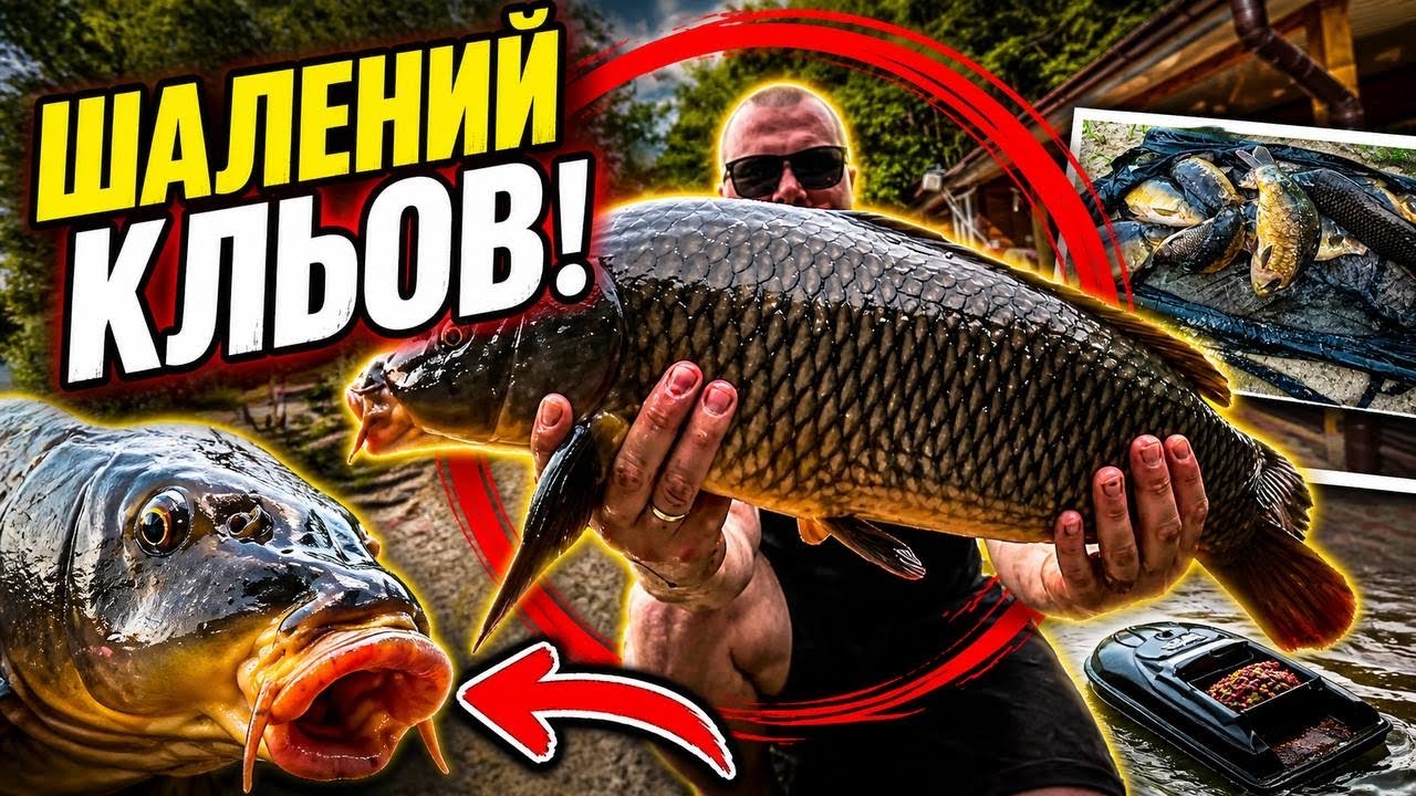 Карповая рыбалка ! Рыбалка с домиками ! Ловля Карпа ! Кукуруза рулет ! Ловля карпа на кукурузу !