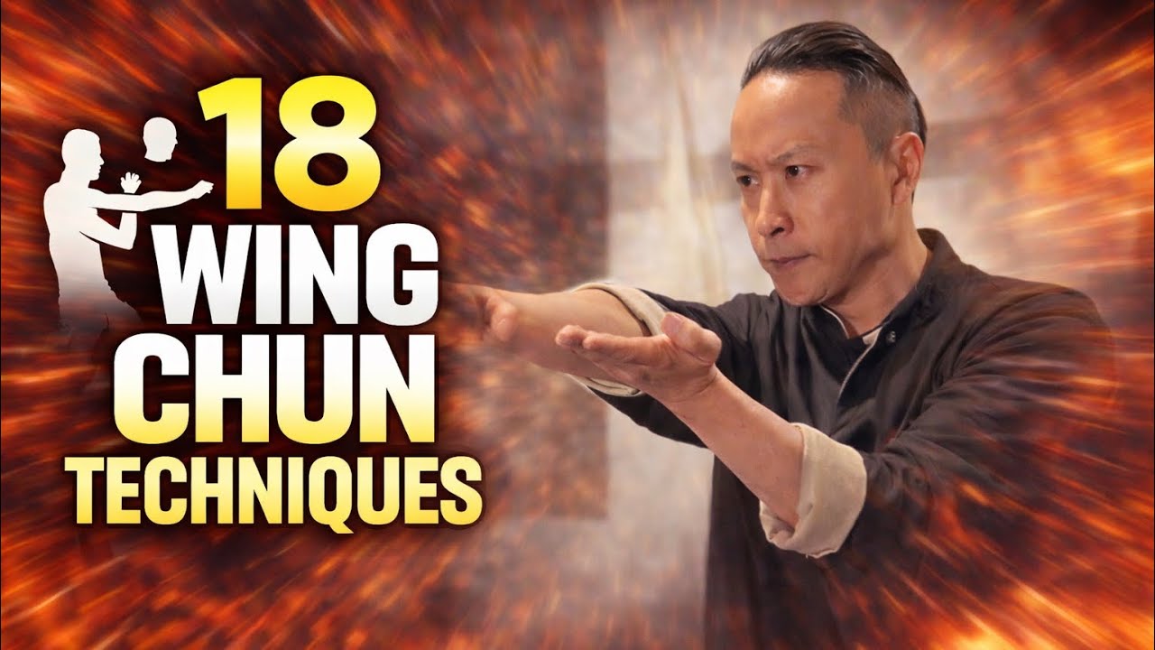 Wing Chun : 18 Self Defense Techniques Martial Arts Instruction
