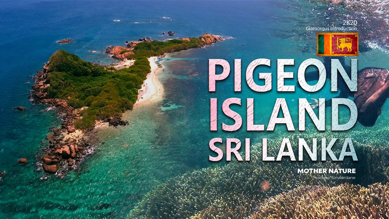 Pigeon Island National Park Sri Lanka | Scuba Diving  | Snorkeling |