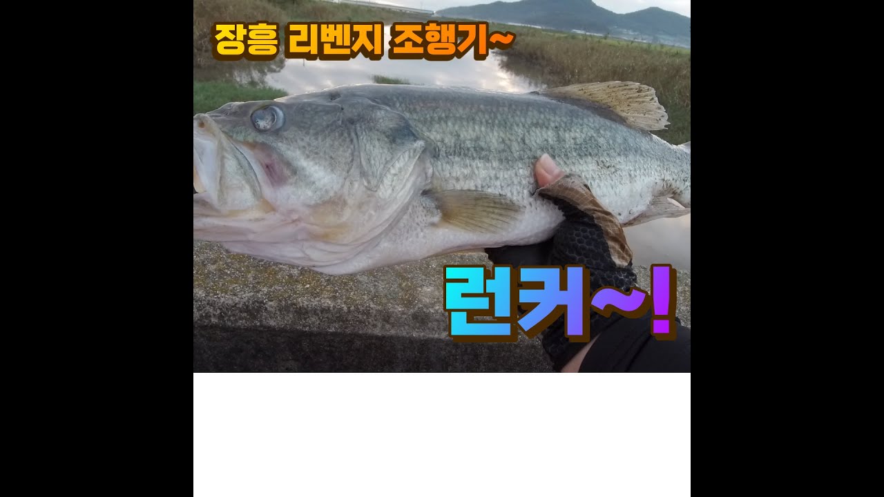 장흥 리벤지 매치 1탄~ 가을은 배스가 배고픈시기~