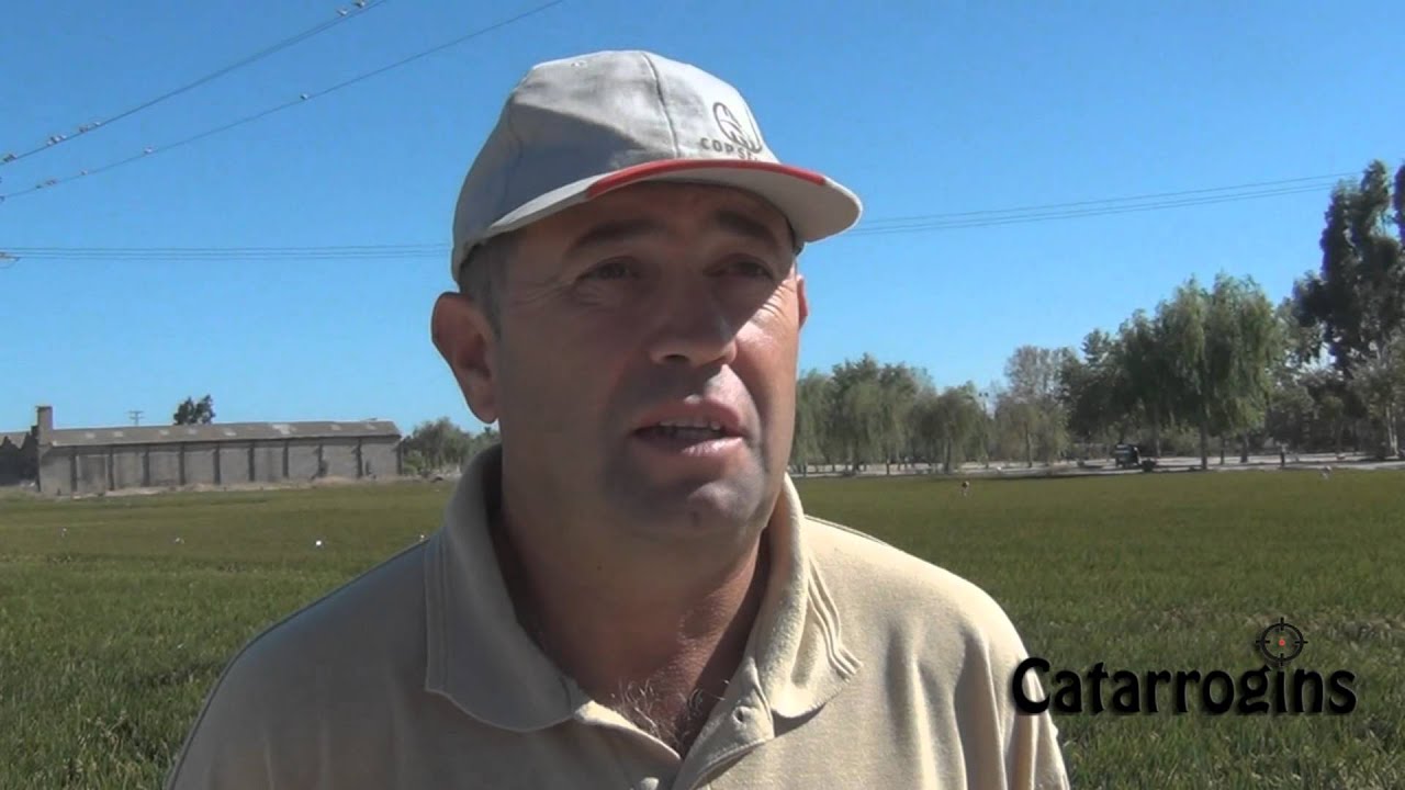 Catarrogins entrevista a Jos&eacute; Vicente Garc&iacute;a Presidente del SAT