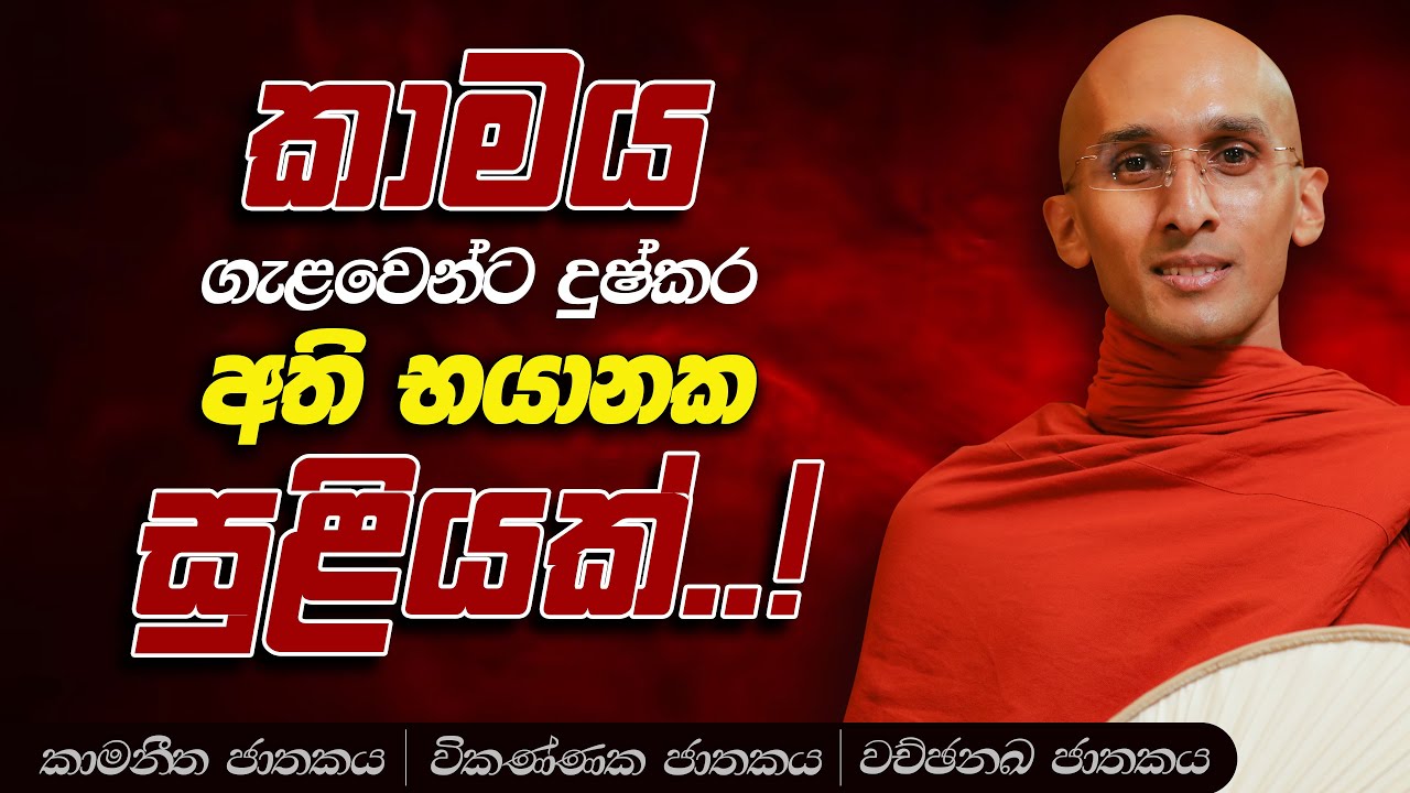 118. කාමය භයානකයි! කාමය සුළියක්! | කාමනීත ජාතකය | නුවණ වැඩෙන බෝසත් කථා | 2023-09-18