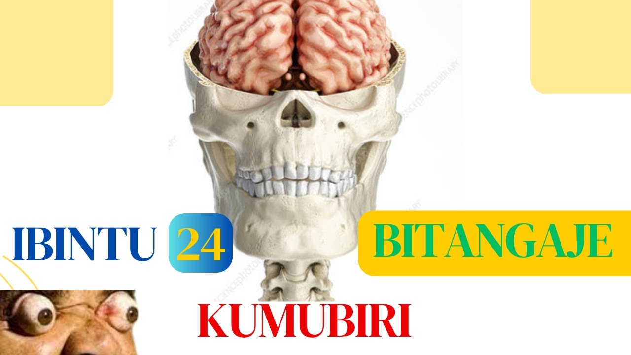 Amabanga atangaje umubiri wawe uhishe😱😲(Shocking Secrets Your Body is Hiding)