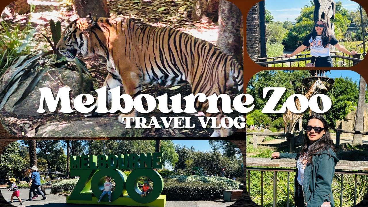 A Day at Melbourne Zoo 🐨🦁 | Last Day in Australia