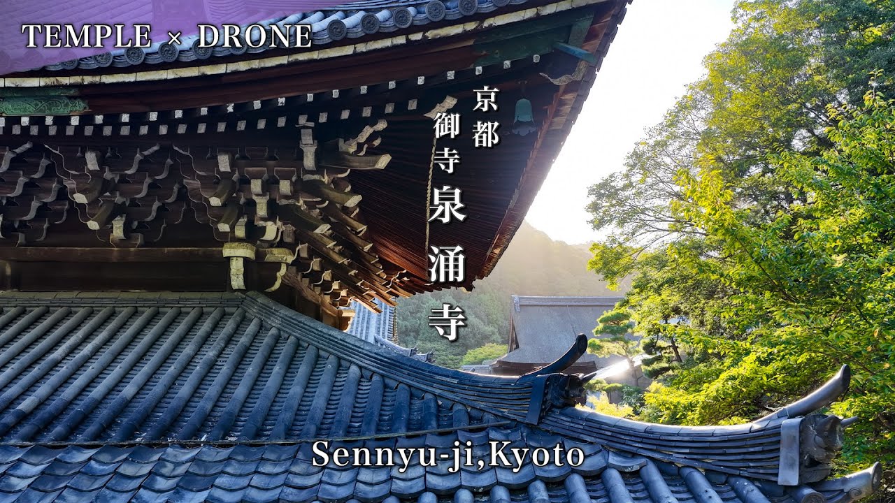 【ドローン空撮】京都 皇室ゆかりの&rdquo;御寺&rdquo;泉涌寺 -美しい伽藍群-