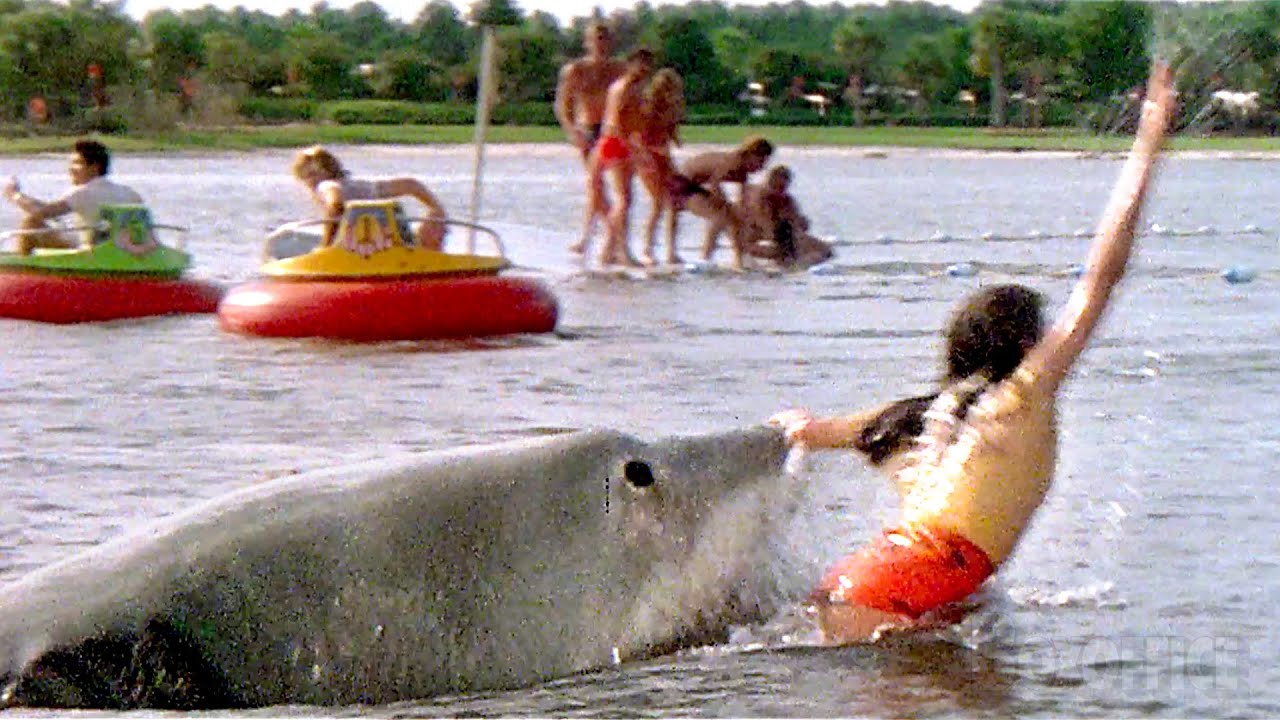 Alle beste Szenen aus Jaws 3-D | Der weiße Hai 3 | German Deutsch Clip 🌀 4K