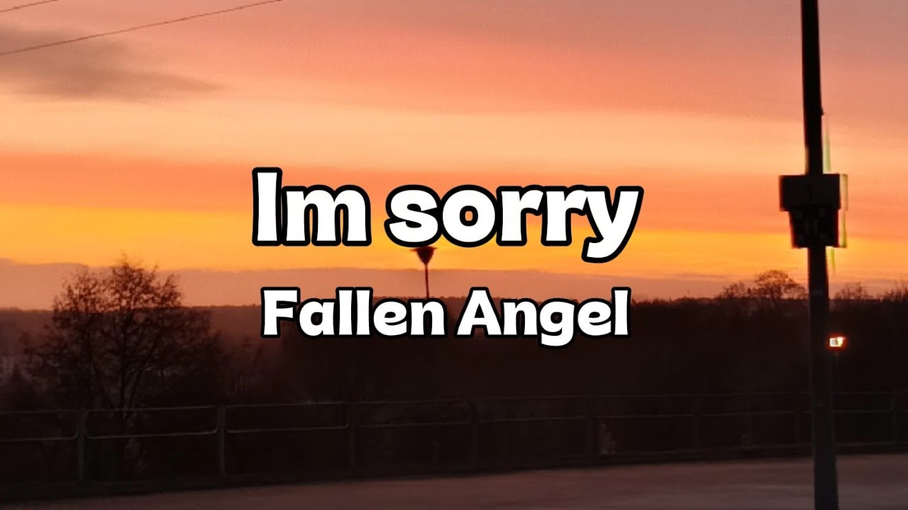 Im sorry - Fallen Angel