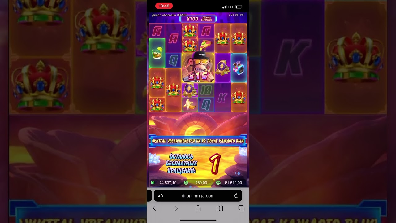 КАЗИНО ЗАНОС 100к (Wild ape) до 10000х