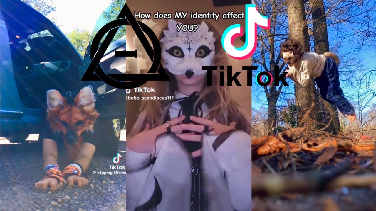 Therian and Quadrobics TikToks || Compilation 🐾🪱🪲|| Alterhumans of TikTok #69