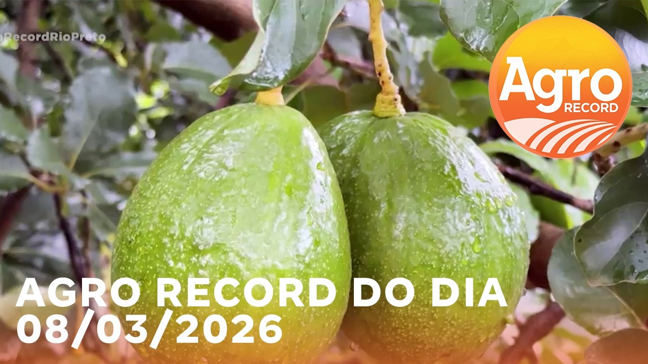 Agro Record dia 8 de Março de 2026