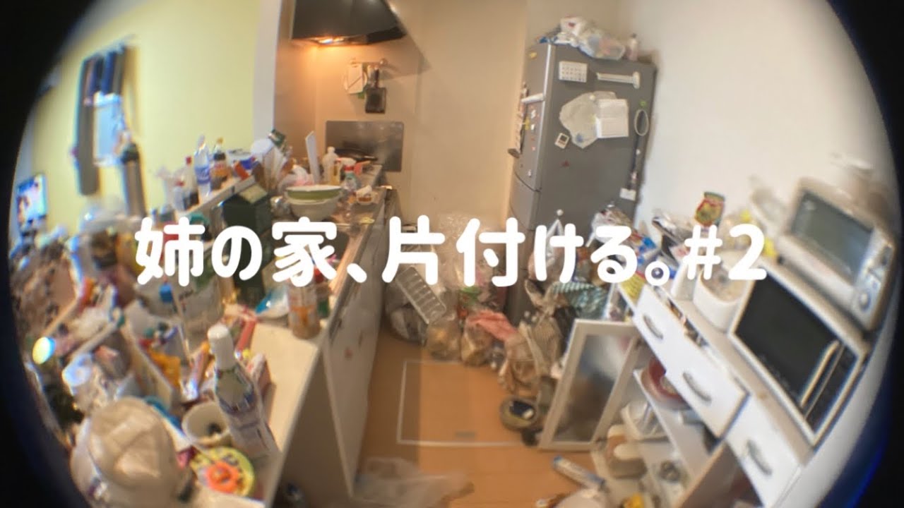 姉の家片付ける/キッチン編②
