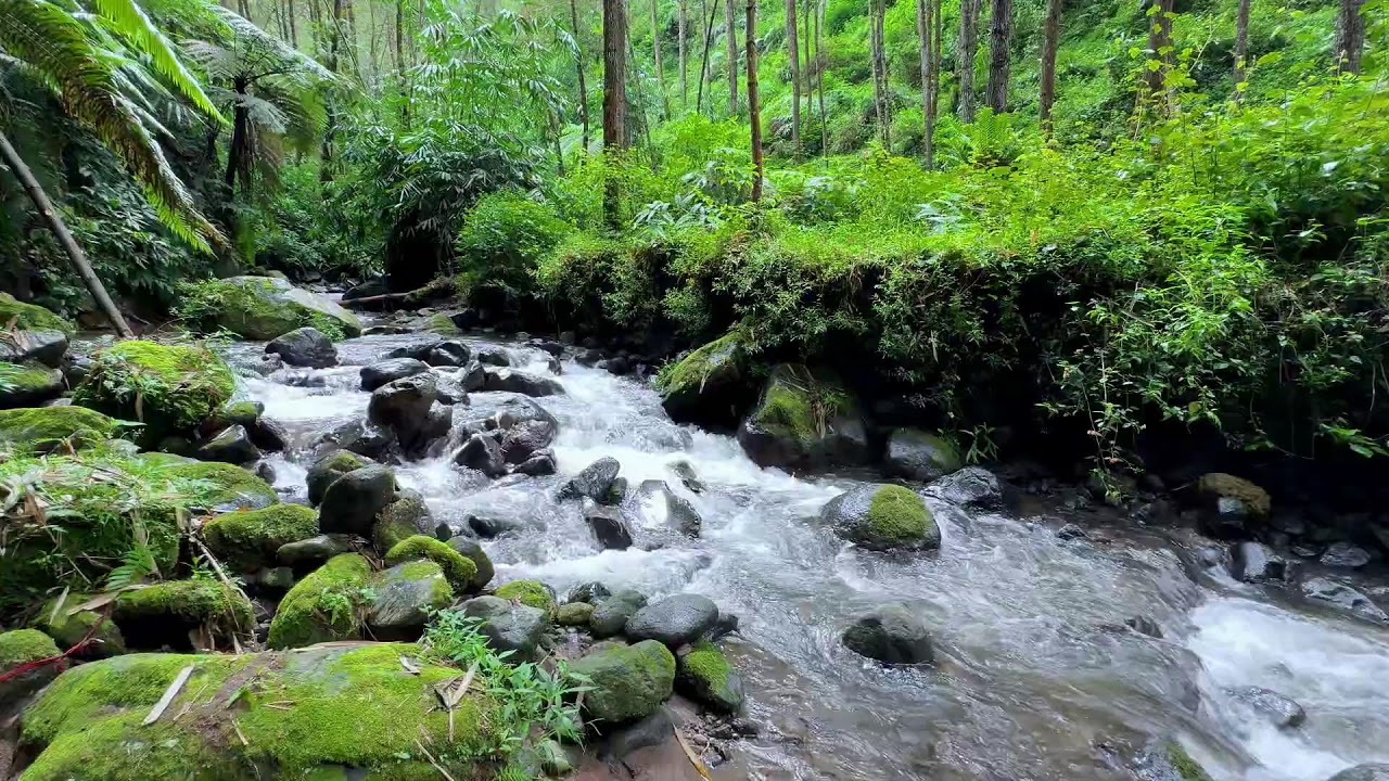 Find deep peace with soft river sounds around a misty valley stream to reduce anxiety tonight
